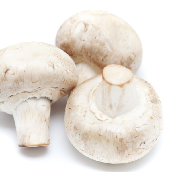 Mushroom Organic (200g)