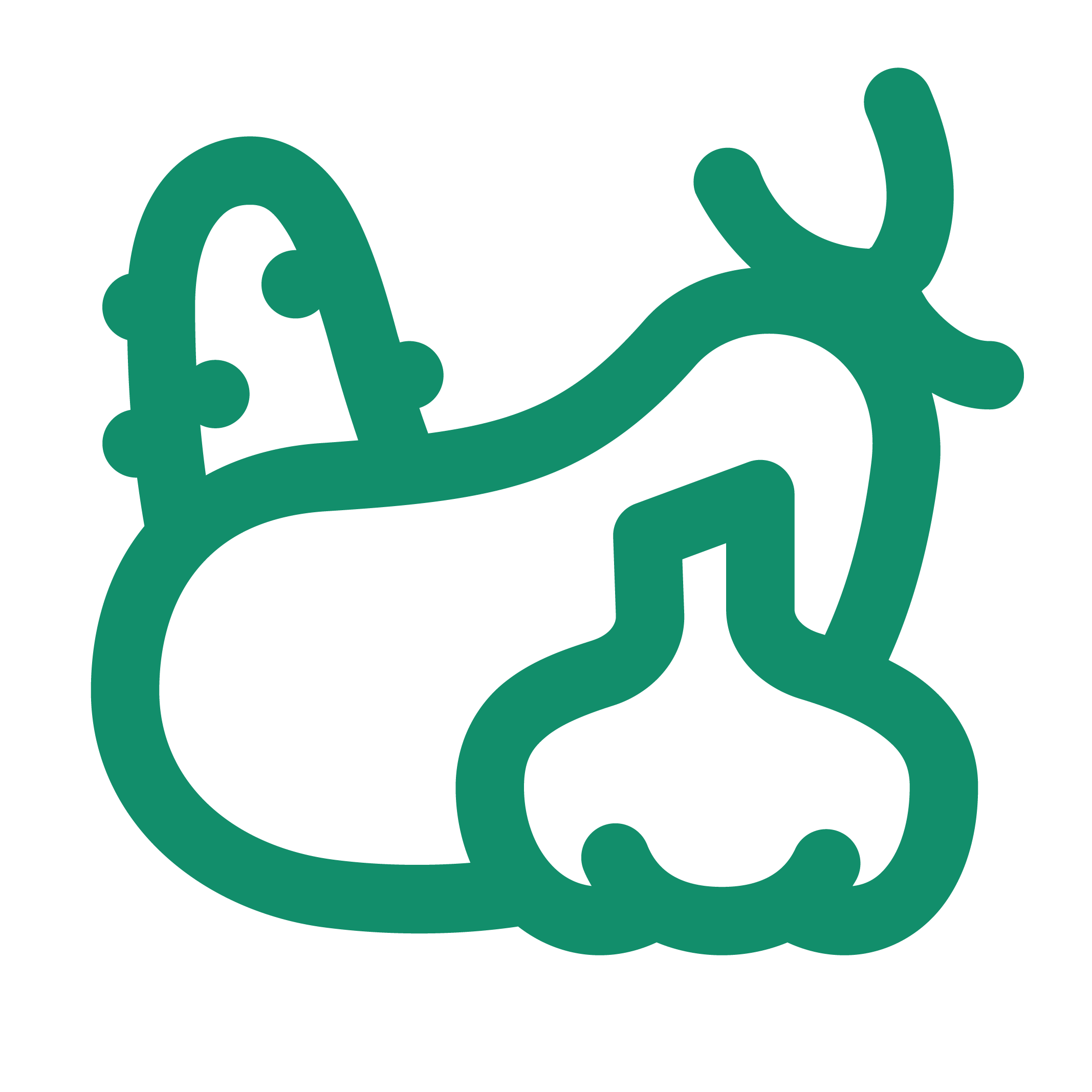 Dried Fruits & Veggies