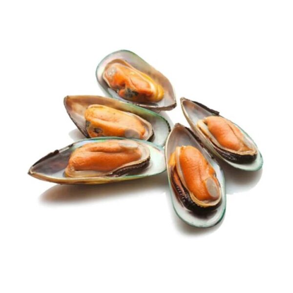 Half Shell Mussels Jumbo Size