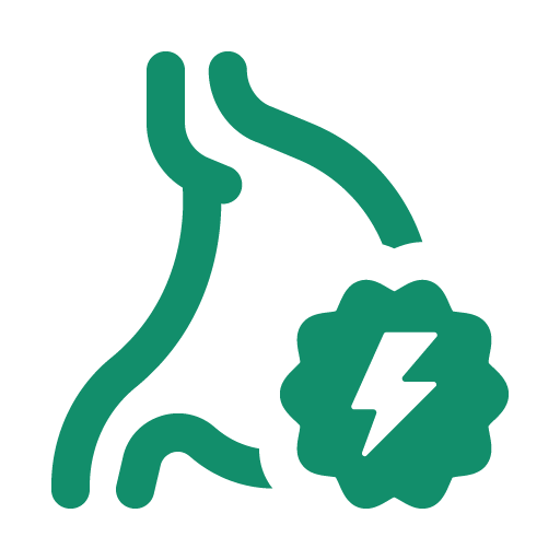 Functional Gut Boosters