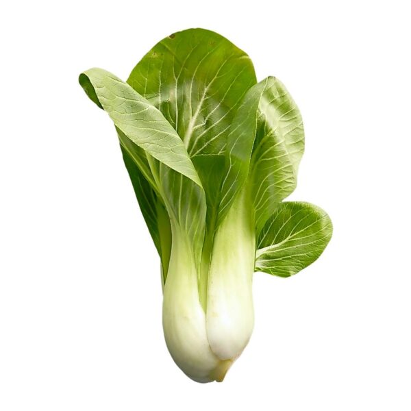 Bok Choy Organic (1pcs) Rdna