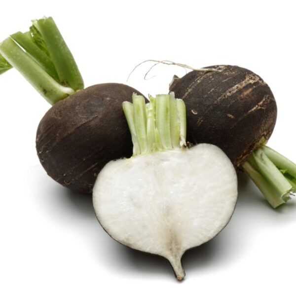 Radish Black Organic (1pcs)